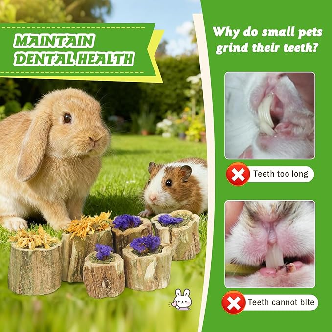 3.5oz Rabbit Chew Toys for Teeth，Bunny Papaya Wood Chew Toys Guinea Pig Treats with Apple Stick for Rabbits Guinea Pigs Hamsters Chinchillas Gerbils Prevent Teeth Overgrowth (3.5 oz, Flower)