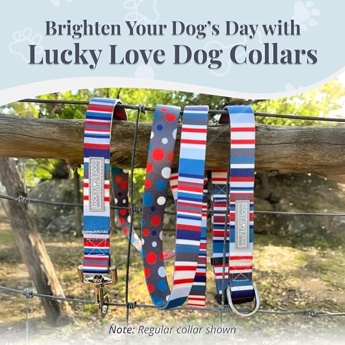 Lucky Love Dog Martingale Dog Collar & Leash - Adjustable, No-Slip, Durable, Comfortable, Soft Webbing, & Stylish Patterned Dog Collar & Leash Set for Male and Female Dogs - Linus Combo, Small