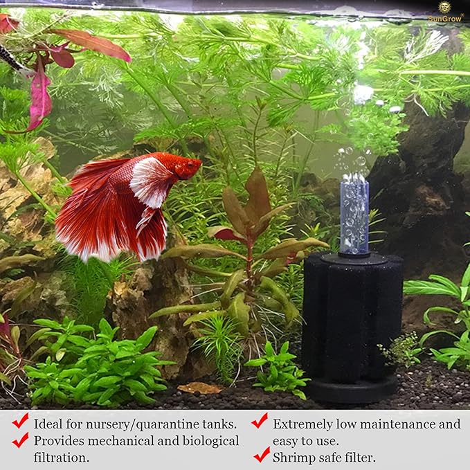 SunGrow 10-Gallon Betta Sponge Filter, Underwater Center Aquarium Filter, Attach it to Air Pump (Not Included) to Run, Works for Tropical Fish & Breeder Aquarium, Perfect for Fry & Small Fish