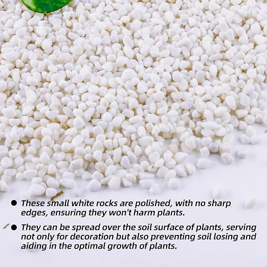 CJGQ 1/4" Small White Rocks for Plants,Potting,Succulents Aquarium Fish Tank Garden Vases Decorative Pebbles Gravel Rocks Stones 45lb