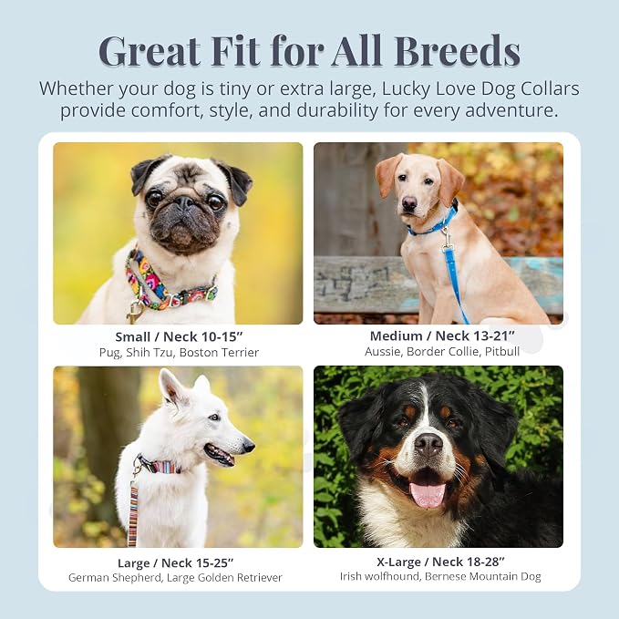 Lucky Love Dog Martingale Dog Collar & Leash - Adjustable, No-Slip, Durable, Comfortable, Soft Webbing, & Stylish Patterned Collar & Leash Set for Male and Female Dogs - Blackbird Combo, Large