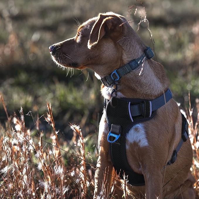 Embark Adventure No-Pull Dog Harness for Large Dogs – Reflective Trim, Military-Grade Nylon, Front Clip with Gel-Lined Handle, Soft & Padded