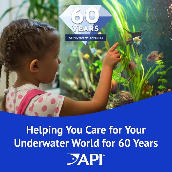 API POND ALGAEFIX (2.5 gallons) Pond Algae Control - Copper Free - Clean, Clear Water Up to 96000 Gallons - Safe for Fish, Plants - Water Gardens, Fountains - Natural Active Ingredient, EPA-Registered