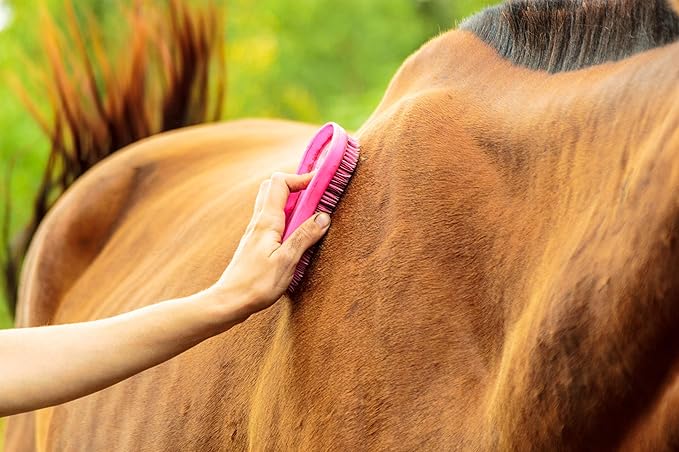 Intrepid International Magic Horse Brush, for Horse Grooming Kit w/Durable Plastic Bristles, Horse Brushes for Grooming, Removes Dirt, Sweat, Grime, Red