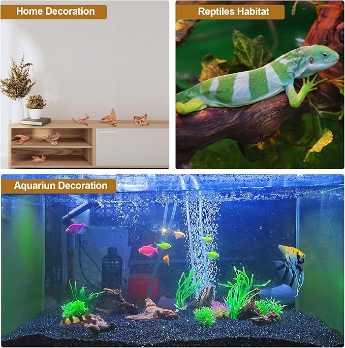 Natural Driftwood Decor for Aquarium Decorations Reptile Tank Accessories, Assorted Wood Branches Decorations on Reptile Fish Tank 2-10" 2 Pcs/4 Pcs/ 5 Pcs/ 6 Pcs (Pack of 6 (2 to 4 Inch))