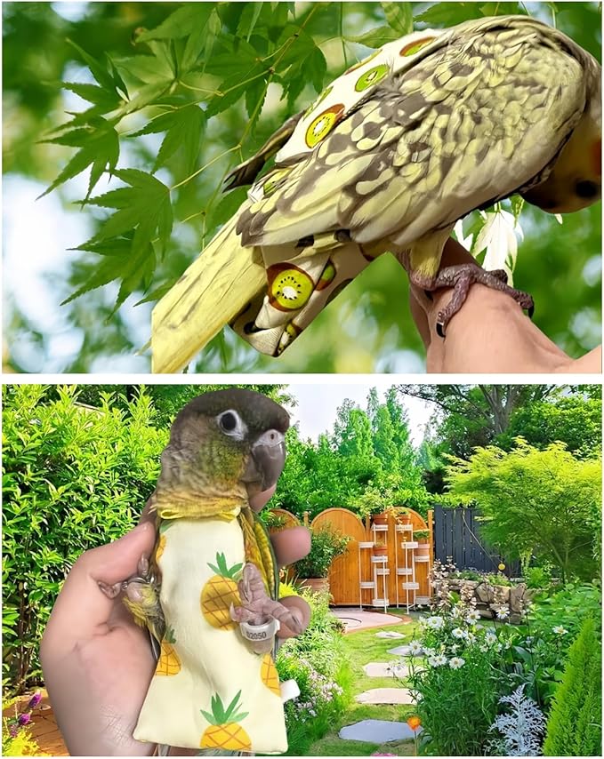 5 Pcs Bird Diapers Bird Harness Flight Suits Diapers Reusable Parrot Nappy with Waterproof Inner Layer Washable Cute Urine Wet Suit for Cockatiel Budgie Conure Macaw Parakeet Lovebird,L