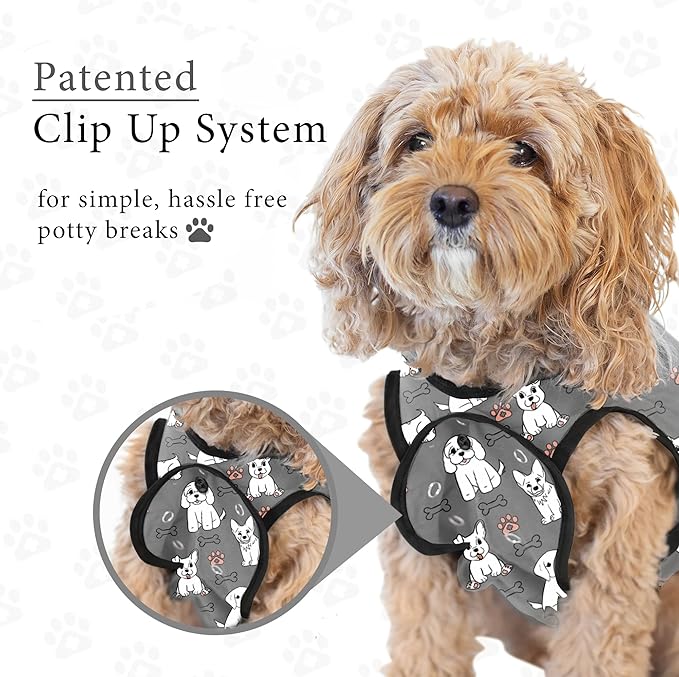 BellyGuard Dog Surgery Recovery Suit, Dog Onesie for Post-Op Care, Recovery Apparel for Female and Male, Surgical Body Cover for Canine Healing Support