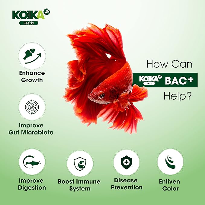 KOIKA BAC+ Aquarium Probiotics for Fish & Shrimp – High-Density Beneficial Bacteria, Immunity Boosting, Disease Resistance & Digestive System Support (105ml)