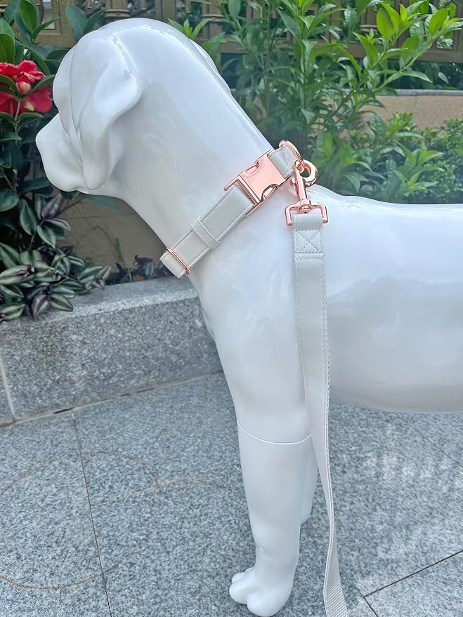 Dog Collar and Leash Set.Soft and Easy to Clean Vegan Leather with Rose Gold Metal Buckle for Small Medium Large Dogs (Off-White, M(13.8"-19.7"))