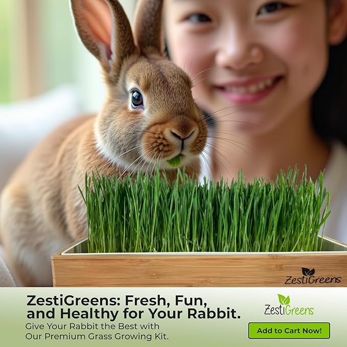 Rabbit Grass Growing Kit – Easy, Self-Watering System for Fresh, Healthy Indoor Greens