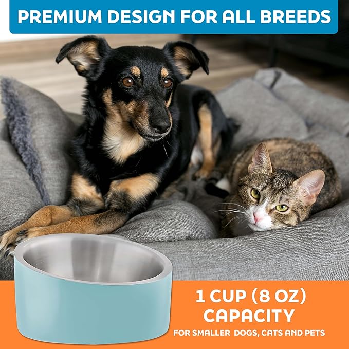 Master Pet Supply Stainless Steel Slanted Dog Cat Food Bowl - 8 oz Heavy Duty - Aqua Sky, Double Wall Insulated, Non-Slip Elevated Bowl for French Bulldogs Pugs Cats, Anti Rust Dishwasher Safe