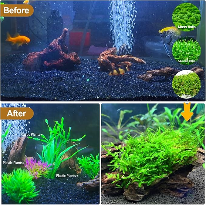 Natural Driftwood Decor for Aquarium Decorations Reptile Tank Accessories, Assorted Wood Branches Decorations on Reptile Fish Tank 2-10" 2 Pcs/4 Pcs/ 5 Pcs/ 6 Pcs (Pack of 6 (2 to 4 Inch))