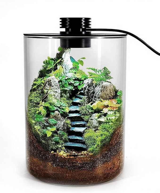 Desktop Glass Terrarium with Grow Light (7.5" H x 5.9" D) - for Succulents, Moss, Mini Gardens, Betta Fish Tanks, Mushroom Cultivation | Indoor Plant Growth | Office/Home Decor | Plant Lover Gifts