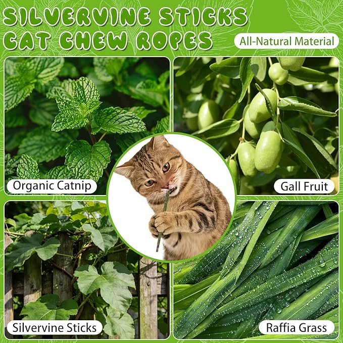 Silvervine Sticks for Cats & Cat Chew Ropes Cat Chew Toys for Indoor Cats Kitten Teething Toys for Dental Cleaning Teeth with Natural Catnip Bag, Increase Appetite, Enhances Oral & Dental Health,14PCS
