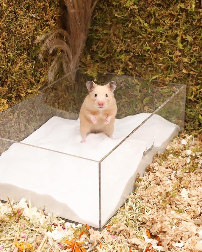 Niteangel Hamster Desert Bath Sand | No-Dust Bath or Potty Litter for Hamster Chinchillas Gerbil Mice Degu or Other Small Pets (White Sand, 6LB/96oz)