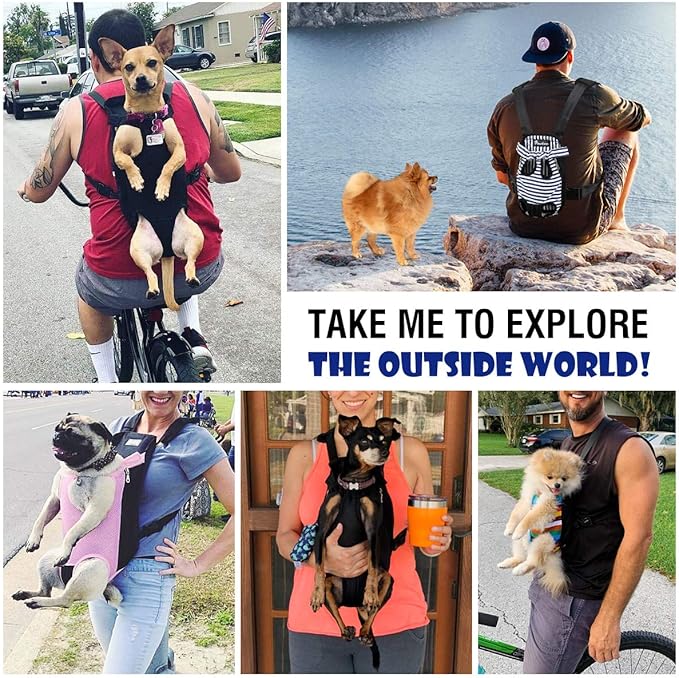 Pawaboo Adjustable Dog Carrier Backpack, Pet Front Cat Carrier Bag for Traveling Hiking, Pet Carriers Backpack for Small Dogs Puppies Cats 13-16lbs, XL, Black