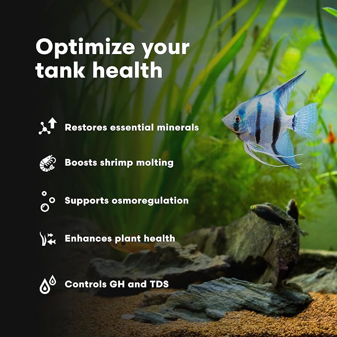 Brightwell Aquatics Caridina GH+ Shrimp Mineral Supplement RO/DI, 500 ml