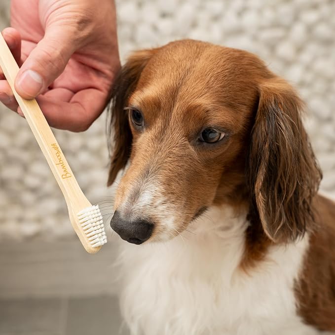 Bamboo Dog Toothbrush (4-Pack) | Double-Sided, Soft Bristle, Toothbrush for Small and Large Dogs | Pets Dental Care