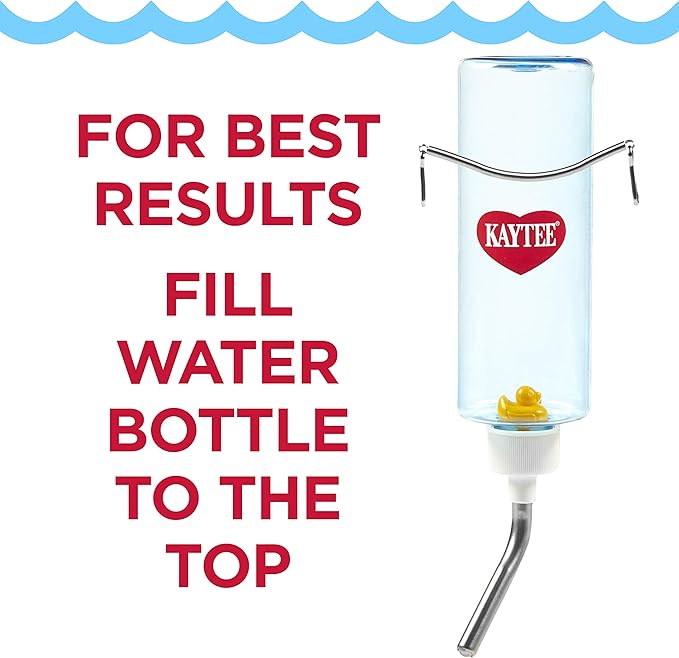 Kaytee Clear View Water Bottle for Pet Guinea Pigs, Rats and Chinchillas, 16 oz (Pack of 2)