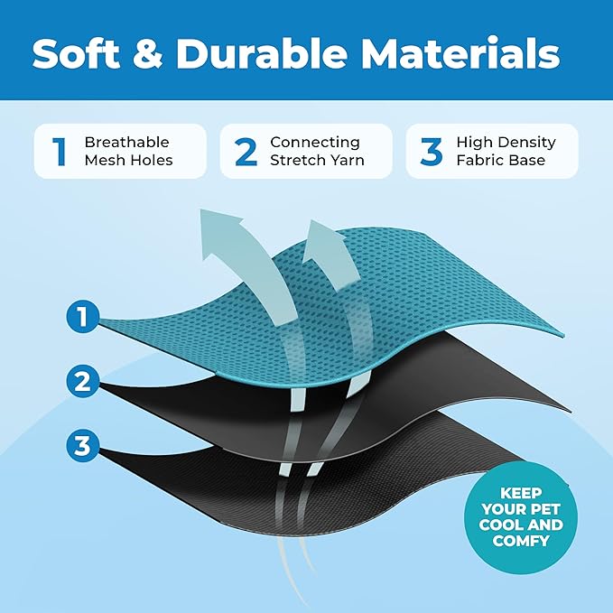 Voyager Escape-Proof Step-in Lock Cat Harness & 5ft Neoprene-Handle Leash Set All-Weather Mesh with Reflective Stitching for Small to Large Cats by Best Pet Supplies, Black Trim-Turquoise (327), XS