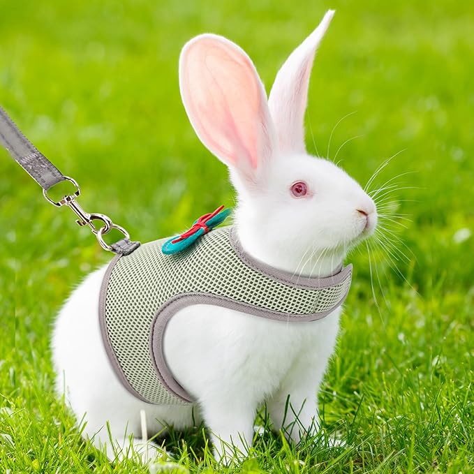 AIITLE Soft Breathable Bunny Harness Set - Escape-Proof Adjustable Vest, Lightweight Reflective Leash for Running, Hiking - Fits Rabbits, Guinea Pigs, Kittens Olive-Green S