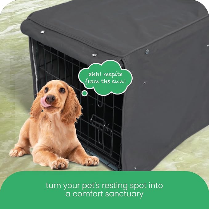 Molly Mutt I'm a Realist Dog Crate Cover, 100% Cotton Canvas Cover with 2 Roll-Up Panels, Ideal for Dog or Cat Crate, Durable, Washable, and Free of Harmful Chemicals, 30" x 19" x 21"