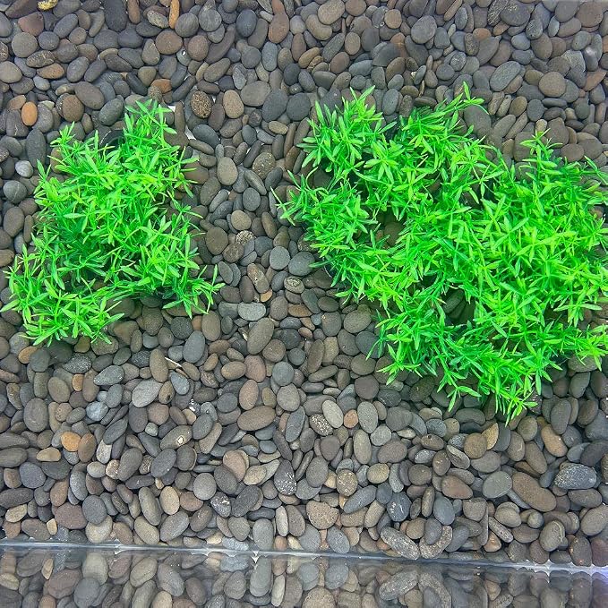 Aquarium Plant Fish Tank Decoration 20 Pieces Small/1" Tall Plastic Artificial Plant Goldfish Hidden Mini Grass Set (Green-A)