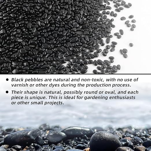 CJGQ 45lb 1/4" Small Pebbles Black for Plants,Potting,Succulents Aquarium Fish Tank Vases Decorative Garden Polished Gravel Rocks Stones