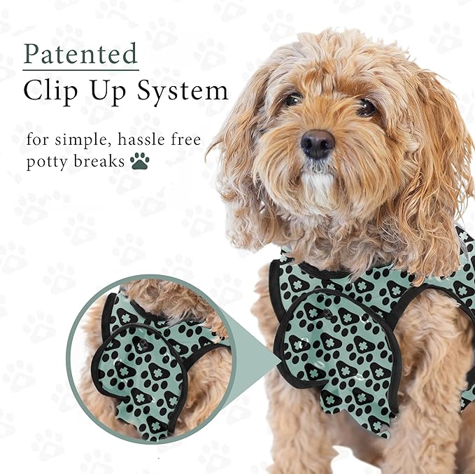 BellyGuard Dog Surgery Recovery Suit, Dog Onesie for Post-Op Care, Recovery Apparel for Female and Male, Surgical Body Cover for Canine Healing Support
