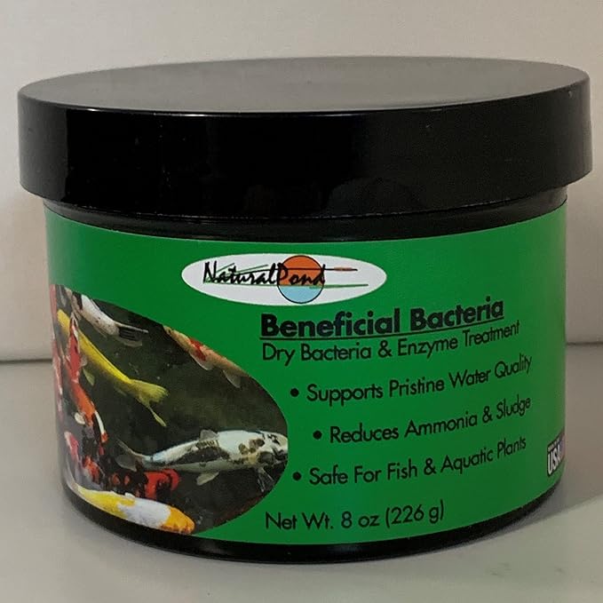 Dry Beneficial Bacteria, 8 Ounces