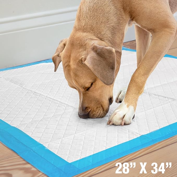 Four Paws Wee-Wee Superior Performance Pee Pads for Dogs with Runoff Barrier Edge Guard Protection, Puppy & Dog Potty Training Pads, Housebreaking Supplies, 28" x 34" (75 Count)