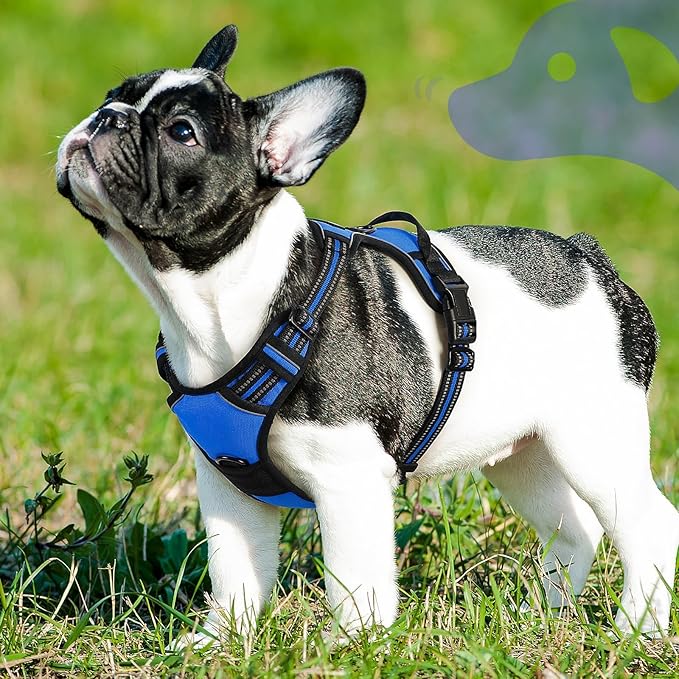 Eagloo Dog Harness Small Sized Dog, No Pull Service Vest with Reflective Strips and Control Handle, Adjustable and Comfortable for Walking, No Choke Pet Harness with 2 Metal Rings, Blue, S