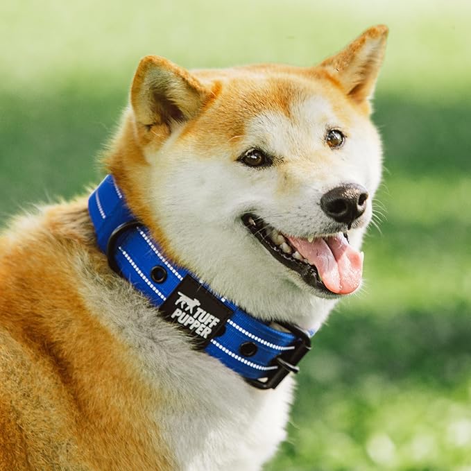 Tuff Pupper Heavy Duty Tactical Dog Collar | 1.5" Wide Ballistic Nylon | Reflective Stitching | Integrated ID Tag Holder | Stainless Steel Buckle | Padded Lining | Medium & Large Dogs (Blue, Medium)