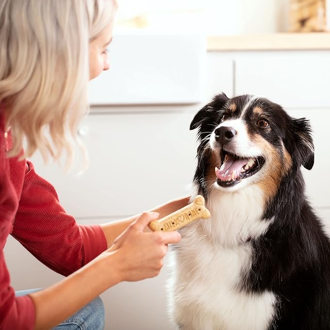 Milk-Bone Original Dog Treats Biscuits for Large Dogs (Packaging May Vary), 24 Ounces (Pack of 2)