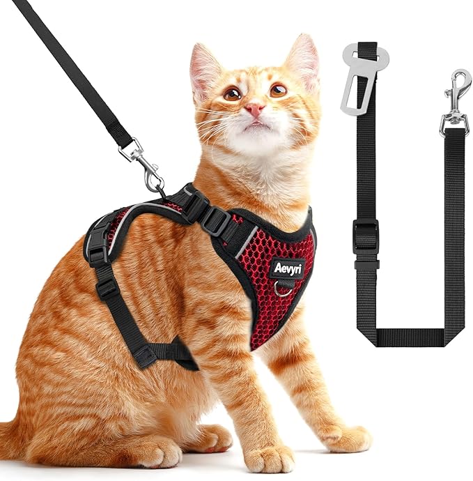 Cat Harness and Leash for Walking Escape Proof Soft Adjustable Cat Leash Breathable Honeycomb Structure Comfortable Vest Easy to Wear Kitten Harness for Outdoor Travel, Honeycomb Red, M