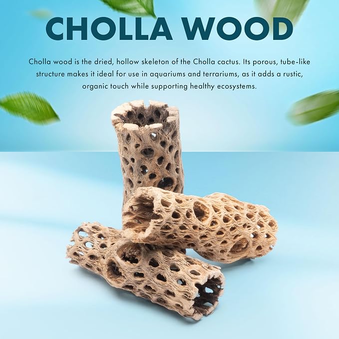 Natural Cholla Wood - Driftwood for Aquariums, Air Plant Base, Hermit Crab and Freshwater Shrimp Hideout, Fish Tank Decoration, Chinchilla Chews, Reptile Habitat Wood - 4 Inch, 1pc