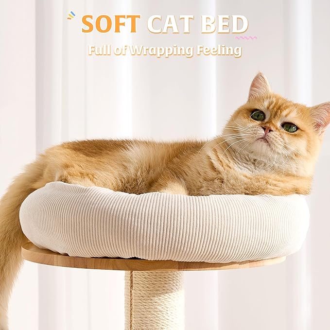 HITTITE Solid Wood Cat Tree Tower with Scratching Post, 61 Inches Tall Cat Towers with Capsule and Condo, Modern Cat Tower with Climbing Ladder and Removable Top Bed for Indoor Cats.