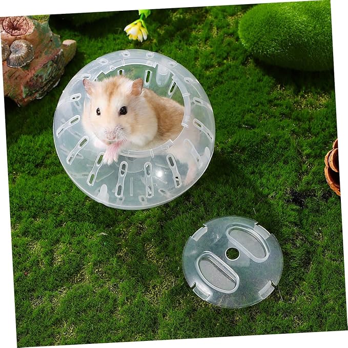 GANAZONO 2 Pack Mini Hamster Exercise Balls Transparent Running Balls for Small Pets Dwarf Hamsters Portable Interactive Toy to Increase Activity and Reduce Boredom