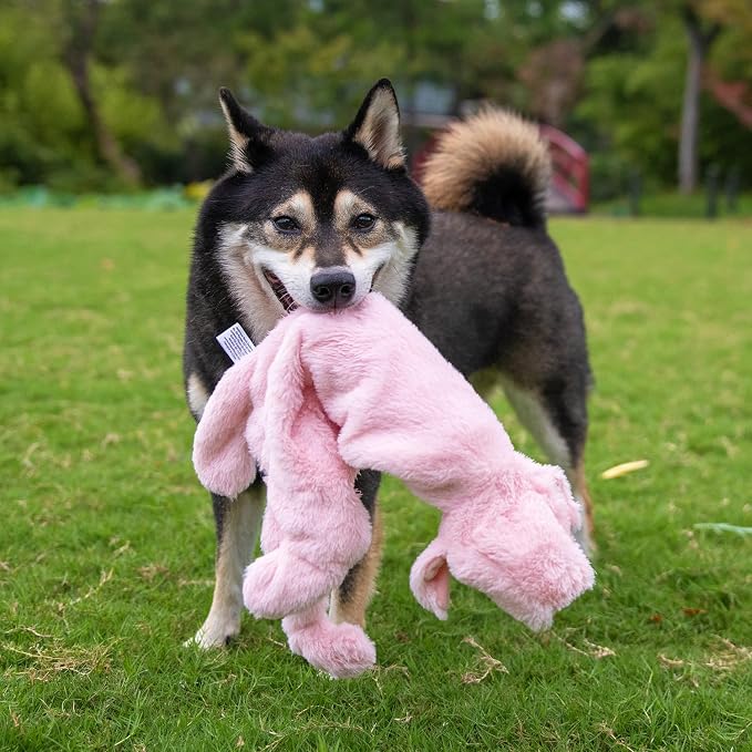 Best Pet Supplies Squeaky Dog Toys with Soft Durable Fabric for Small, Medium and Large Pets Interactive Toy for Indoor Play, Supports Active Biting and Play - 1Wild Duck, Pig, Large