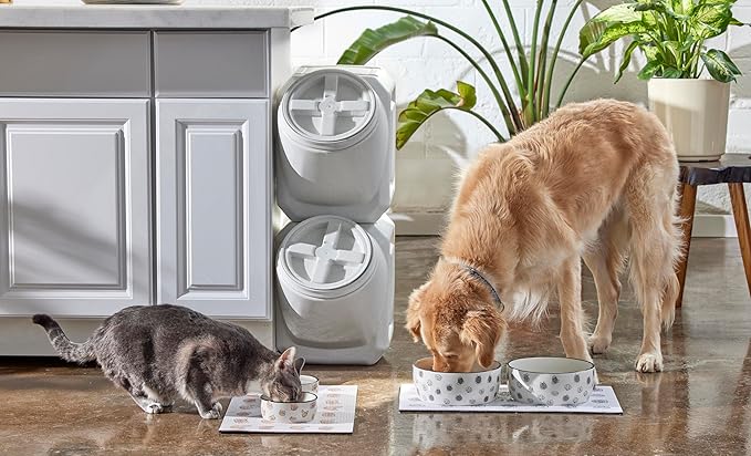 Pearhead Ceramic Cat Bowl, Holds 12 oz, Whisker-Friendly Pet Dish for Food and Water, Cute Cat Face Design