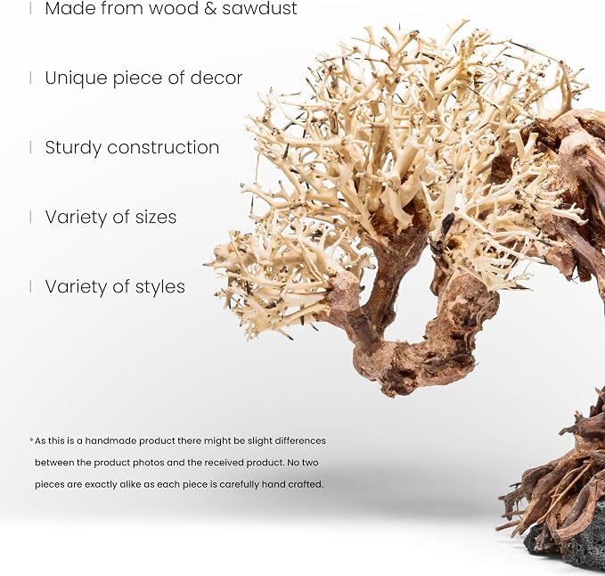 Ultum Nature Systems Bonsai - Handcrafted Hardscape Driftwood for Aquarium, Terrarium, Vivarium, Natural Aquascape Hardscape Decorations, Aquascaping Hardscape for Live Aquatic Plants - 013, Large
