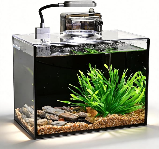 2 Gallon Betta Fish Tank, Small Aquarium Kit,Glass Small Fish Tank,Betta Fish Tank with a lid and Light and Filter, Small Transparent Glass Fish Tank with Light and Filter (Black Glass Background)