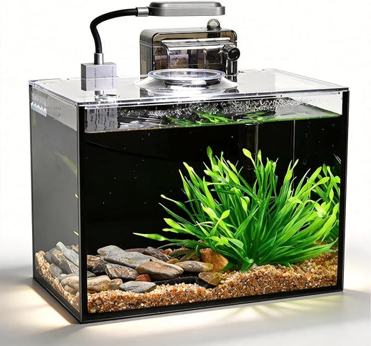 2 Gallon Betta Fish Tank, Small Aquarium Kit,Glass Small Fish Tank,Betta Fish Tank with a lid and Light and Filter, Small Transparent Glass Fish Tank with Light and Filter (Black Glass Background)