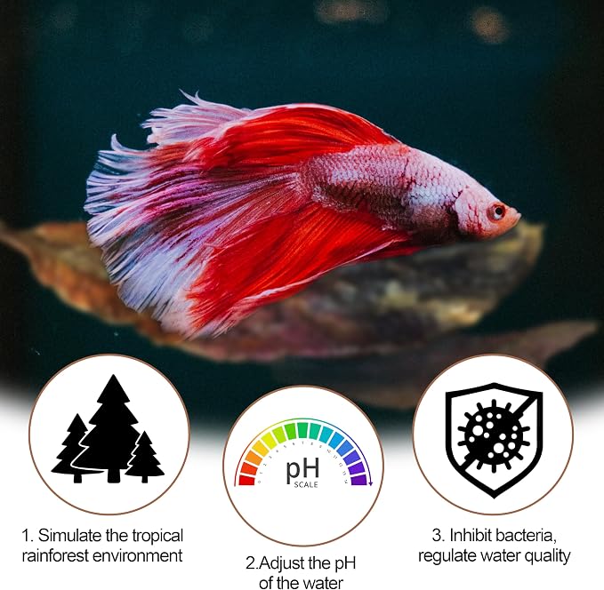 100 Pcs Large Catappa for Fish, 5-8 Inch 250g Lndian Almond Leaves | Creates Native Environment for Aquarium Shrimp Tank Decorations Water Beta Fish Water Conditioner