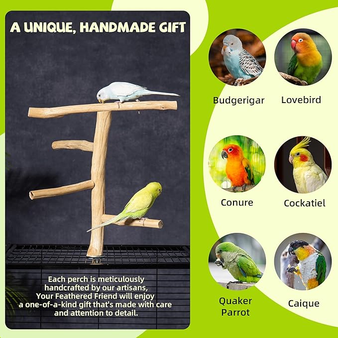 Natural Wood Bird Perch for Top of Cage, Cage Top Perch Play Stand for Parakeets, Cockatiels, Lovebirds and Small Conures, Multi-Level Training Branch for Small Medium Birds