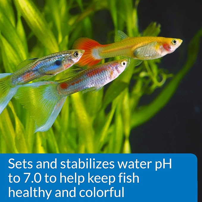 API Proper pH 7.0 Freshwater Aquarium Water pH Stabilizer and API Stress Coat Aquarium Water Conditioner