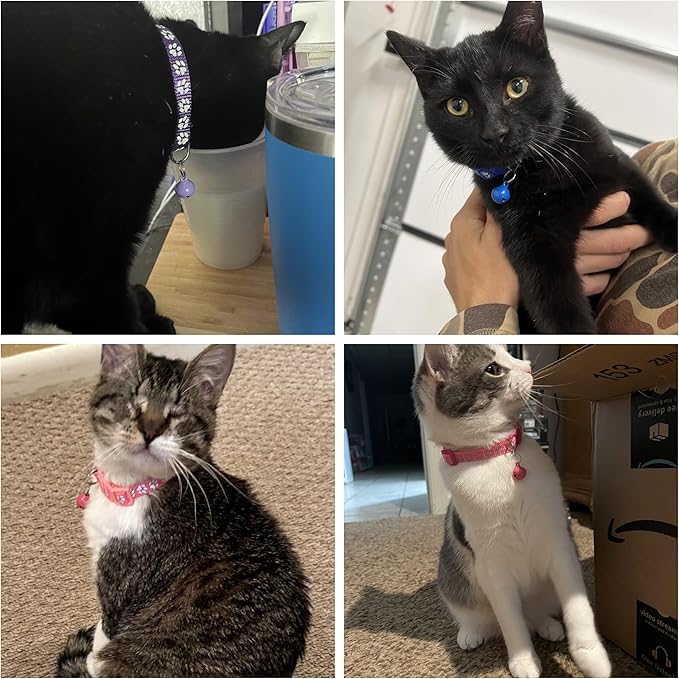 Fluorescent Cat Collar with Bells, 2 Pack Break Away Kitten Collar with Bells, Breakaway Cat Collar for Girl Cats Kitty Adjustable 7.5-12.5 Inch