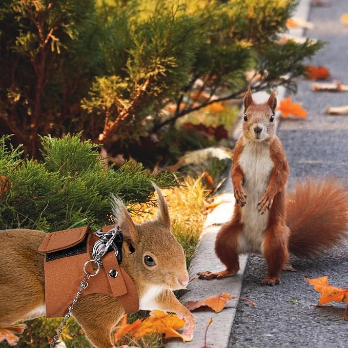 3 Pack Squirrel Harness and Leash Set - Adjustable Soft Leather & Traction Rope Strap Anti-Biting Chainfor Small Pet Walk Jogging Bearded Dragon Reptile Squirrel Rat