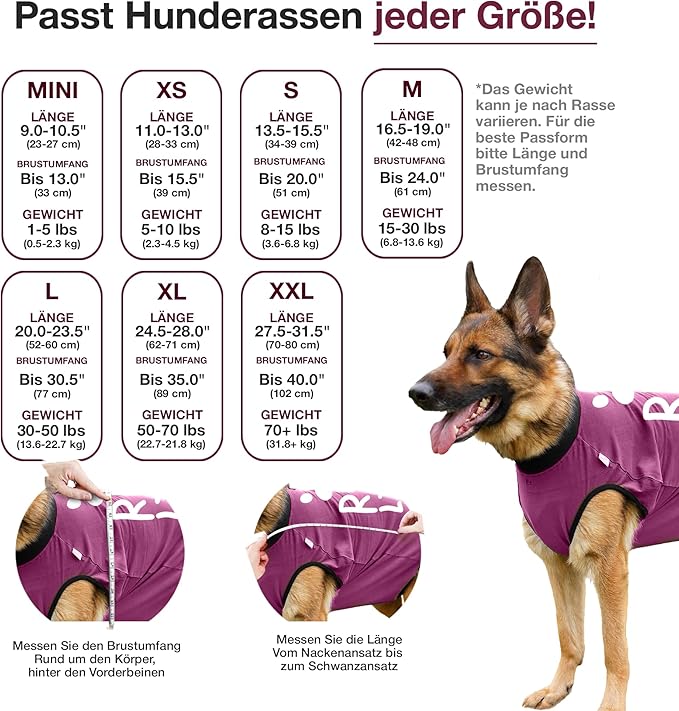 BellyGuard Dog Surgery Recovery Suit, Dog Onesie for Post-Op Care, Recovery Apparel for Female and Male, Surgical Body Cover for Canine Healing Support