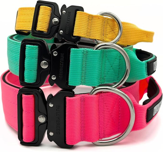 Heavy Duty Dog Collar, Tactical Dog Collar, Dog Collars for Medium Dogs, Waterproof Dog Collar, Dog Training Collar, Quick-Release Metal Buckle, Adjustable Sizes – BULLYBREED (Aquamarine, Medium)